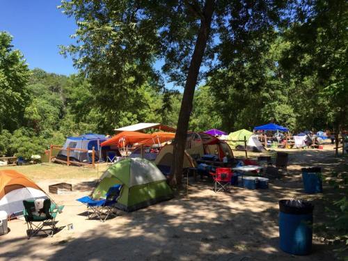 A vibrant campsite with various tents and canopies set up under trees, surrounded by greenery and picnic areas.