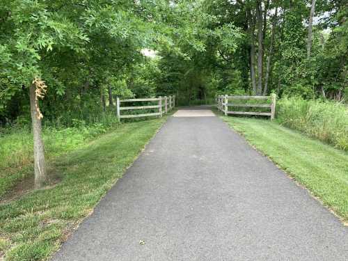 A paved path leads through greenery, flanked by wooden fences and trees on either side.