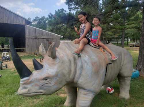 Two girls sit on a large, colorful rhinoceros statue in a grassy area, surrounded by trees and a wooden building.