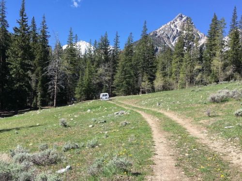 A dirt path leads through a grassy area with trees, leading to a van near a mountain under a clear blue sky.