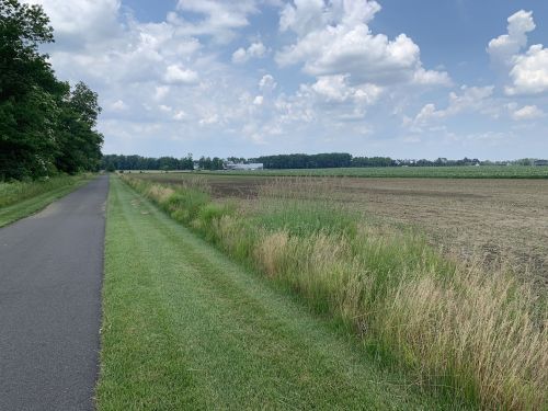 A paved path alongside a grassy area leads to an open field under a partly cloudy sky.