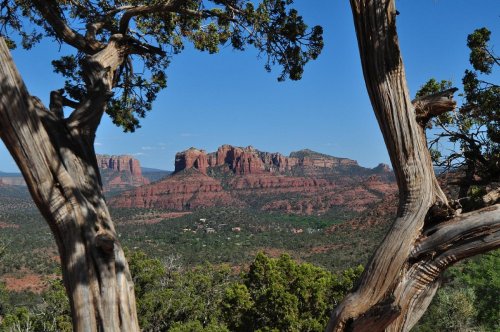 A scenic view of red rock formations framed by trees under a clear blue sky.