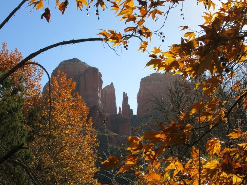A scenic view of red rock formations framed by autumn leaves under a clear blue sky.