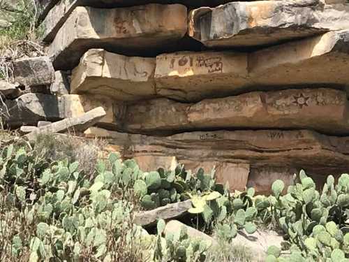 Ancient rock art on layered stone, surrounded by green vegetation and cacti.