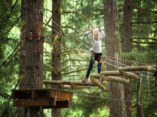 A child navigates a rope course among tall trees, using safety gear and balancing on wooden beams.