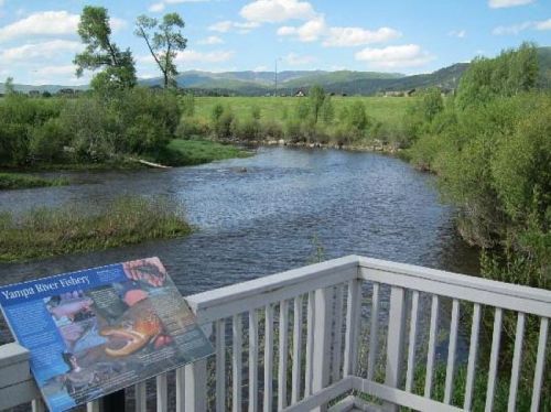 A scenic view of a river surrounded by greenery, with a sign about fishing in the foreground.