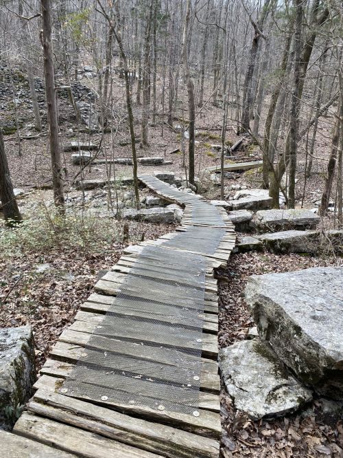 A wooden boardwalk winding through a forest with bare trees and rocky terrain.