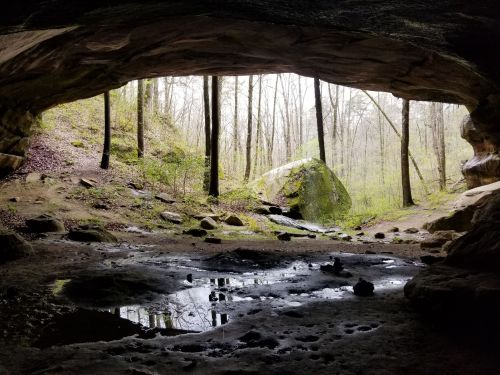 A cave opening reveals a forest scene with trees and a large rock, reflecting water on the ground inside the cave.