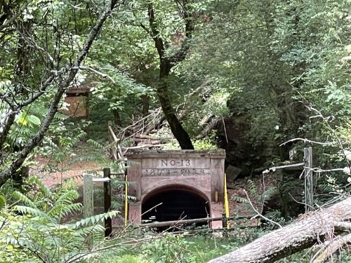 An old stone tunnel entrance marked "No. 13," surrounded by lush greenery and fallen branches.