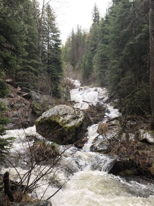 A rushing river flows through a forested area, surrounded by rocks and trees, with cascading waterfalls in the background.