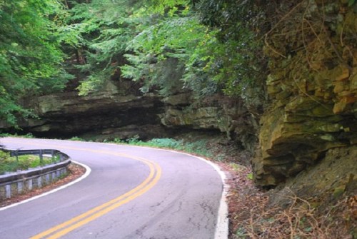 A winding road curves through a lush green forest, flanked by rocky cliffs and dense foliage.