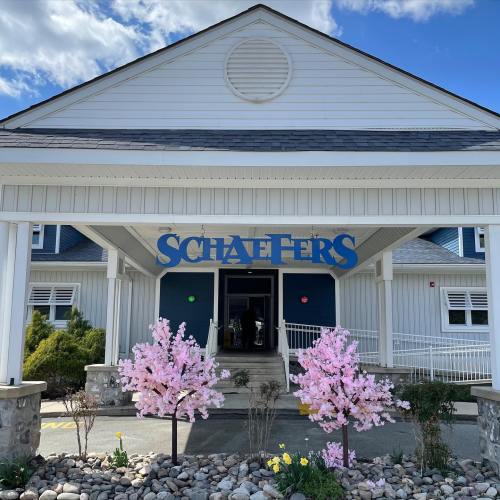 A building entrance with a blue sign reading "Schaefer's" and pink flowering trees on either side.
