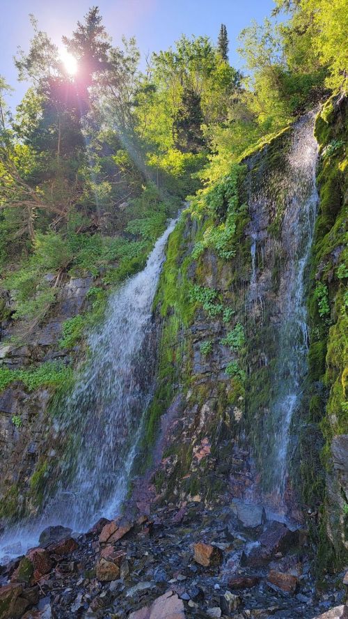 A serene waterfall cascading down moss-covered rocks, surrounded by lush greenery and sunlight filtering through trees.