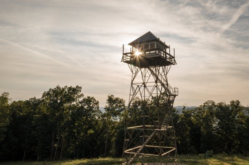 A tall observation tower stands against a sunset, surrounded by trees and a scenic landscape.
