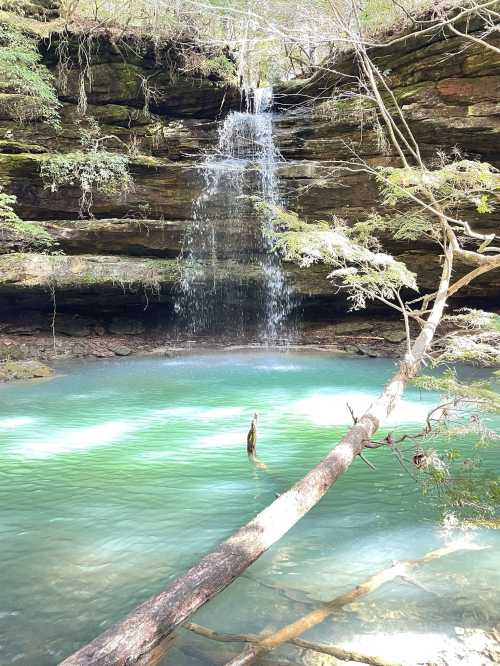 A serene waterfall cascades into a turquoise pool, surrounded by lush greenery and rocky cliffs.