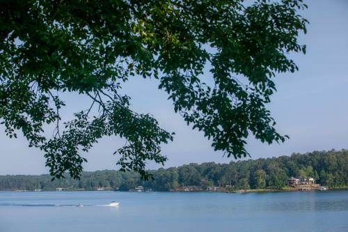 A serene lake view framed by tree branches, with a boat gliding across the water and lush greenery in the background.