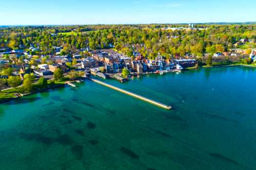 Aerial view of a lakeside town with green trees, buildings, and a pier extending into clear blue water.