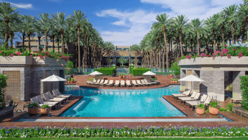 A luxurious pool surrounded by palm trees and lounge chairs, with vibrant flowers and a clear blue sky in the background.