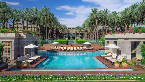 A luxurious pool surrounded by palm trees and lounge chairs, with vibrant flowers and a clear blue sky in the background.