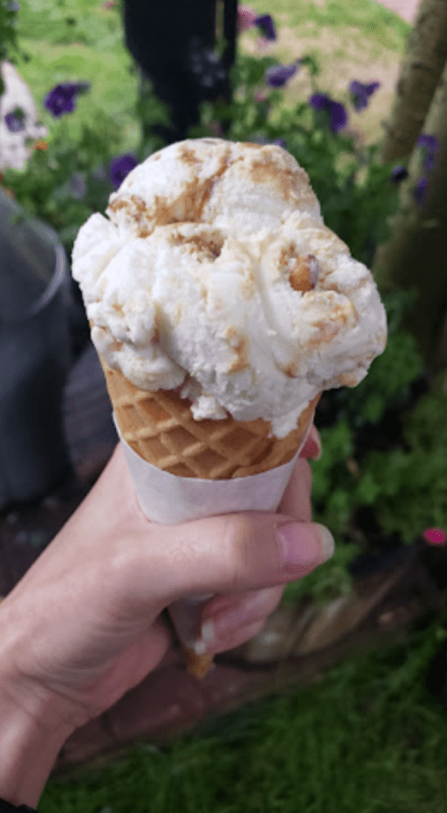 A hand holding a cone of ice cream with a creamy, swirled topping, set against a backdrop of flowers and greenery.