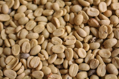 Close-up of raw, unroasted coffee beans scattered on a surface.