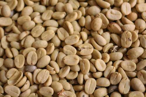 Close-up of raw, unroasted coffee beans scattered on a surface.