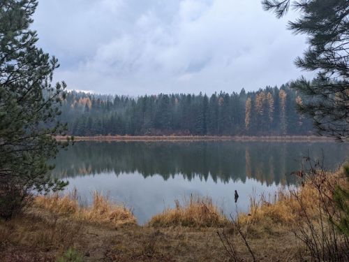 A serene lake surrounded by trees, reflecting the cloudy sky and autumn foliage in the calm water.