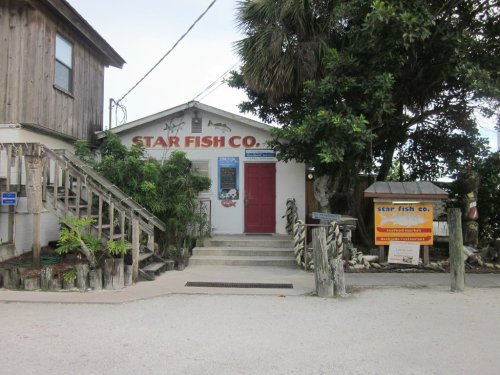A building with a red door labeled "Star Fish Co." surrounded by greenery and wooden structures.