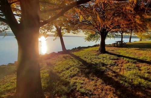 A serene lakeside scene at sunset, with trees casting long shadows on the grass and a picnic table by the water.