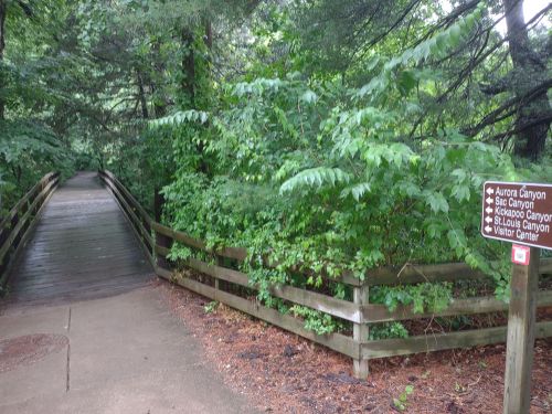 A wooden bridge leads into a lush, green forest with a signpost indicating nearby canyons and a visitor center.