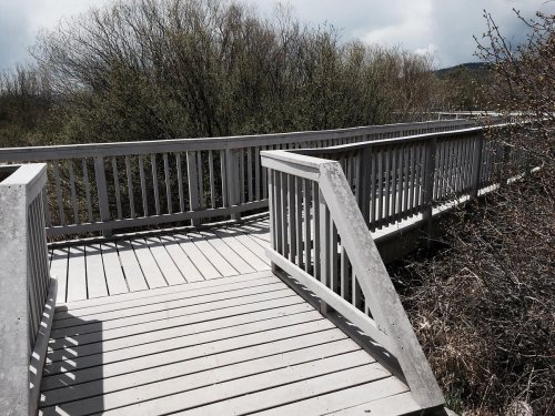 A wooden boardwalk winding through a natural area, surrounded by greenery and trees under a cloudy sky.
