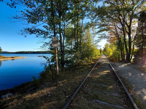 A serene lakeside view with a railway track, surrounded by trees and clear blue skies.