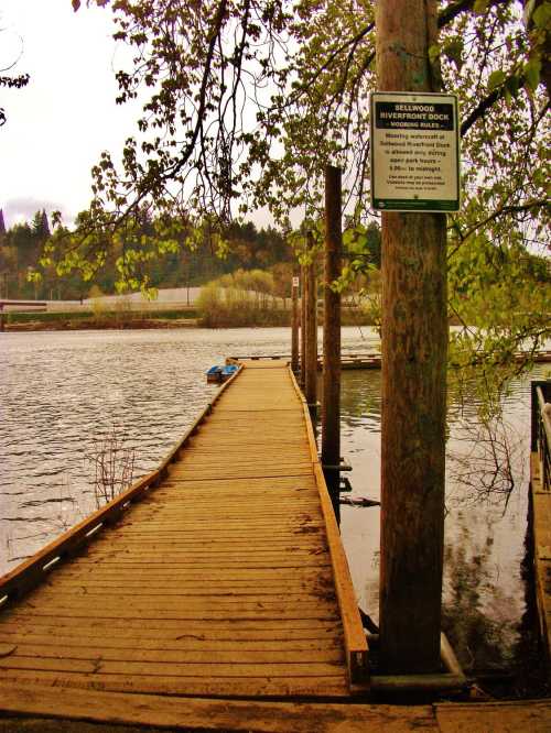 A wooden dock extends over calm water, surrounded by trees, with a sign on a post nearby.