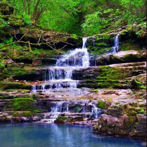 A serene waterfall cascading over moss-covered rocks, surrounded by lush green foliage.