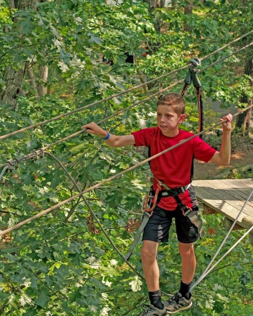 A young boy in a red shirt navigates a ropes course among green trees, focused and secured with a harness.