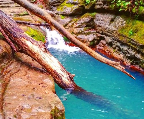 A serene blue pool surrounded by rocky terrain and fallen trees, with a small waterfall cascading nearby.