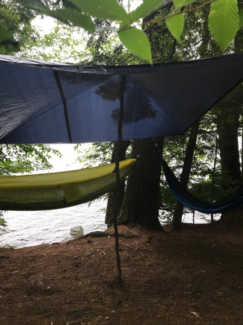Two hammocks suspended between trees by a lake, with a blue tarp overhead and greenery surrounding the area.