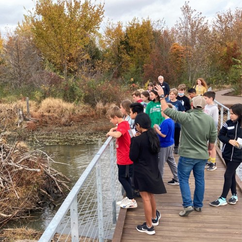 A group of people observing a pond and surrounding nature on a wooden walkway, with autumn foliage in the background.