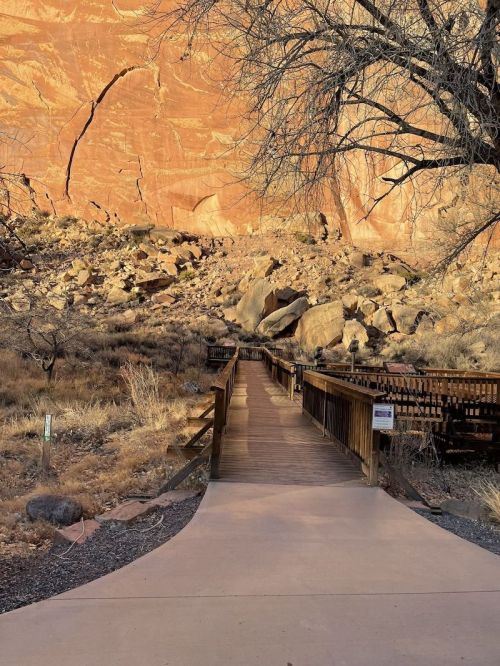 A wooden walkway leads through a rocky landscape, flanked by a towering red rock wall and sparse vegetation.