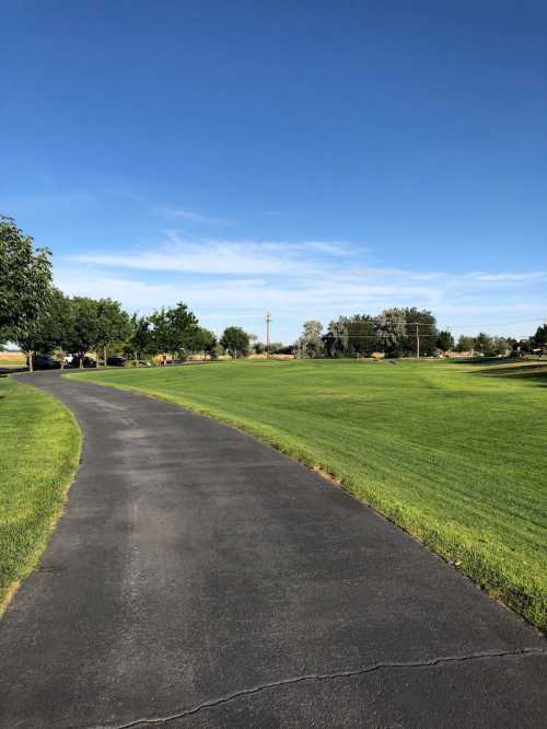 A paved path winds through a green park under a clear blue sky, with trees lining the sides.