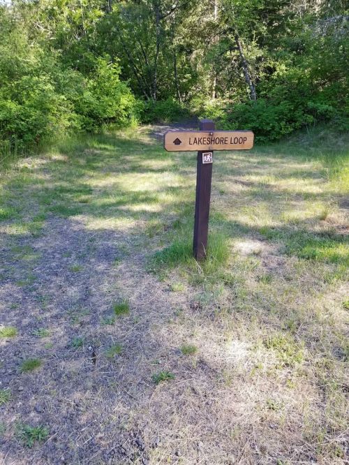 A wooden sign marking the start of the Lakeshore Loop trail, surrounded by greenery and a dirt path.