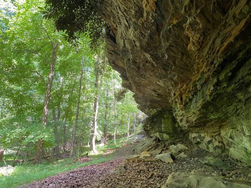 A rocky overhang in a lush green forest, with trees and foliage surrounding a dirt path.