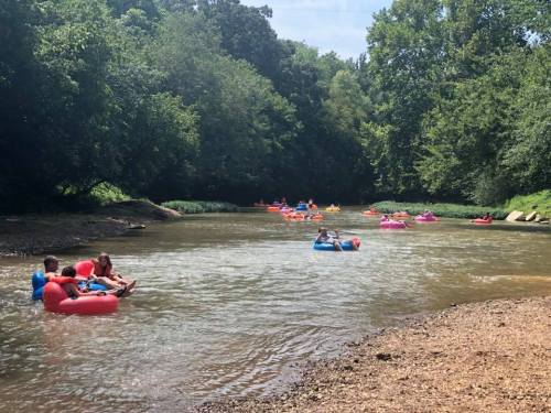 People float on colorful inner tubes in a calm river surrounded by lush greenery on a sunny day.