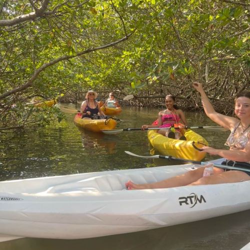 A group of people kayaking through a lush, green mangrove forest on a sunny day.