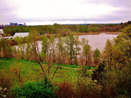 A scenic view of a river surrounded by lush greenery and trees, with a city skyline in the background under cloudy skies.
