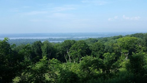 A panoramic view of lush green trees overlooking a river and distant hills under a clear blue sky.