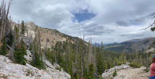 A panoramic view of a mountainous landscape with trees, rocky terrain, and cloudy skies in the background.