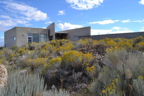 Modern concrete house surrounded by yellow wildflowers and desert vegetation under a blue sky with scattered clouds.