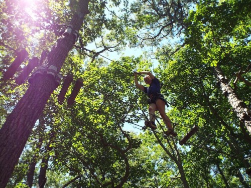 A person navigates a high ropes course among trees, balancing on a log while surrounded by greenery.