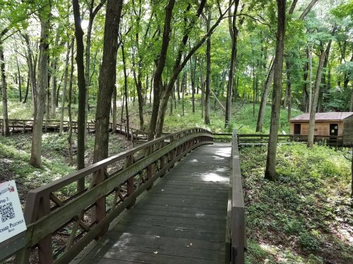 A wooden boardwalk winds through a lush, green forest with trees and a small building in the background.